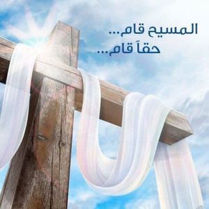 Meet your Posher, Moheb